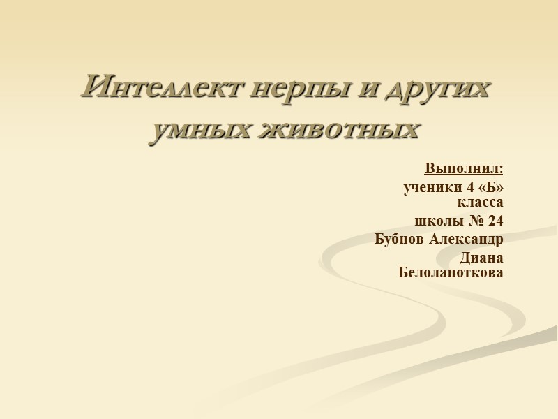Интеллект нерпы и других умных животных Выполнил: ученики 4 «Б» класса Интеллект нерпы и других умных животных Выполнил: ученики 4 «Б» класса